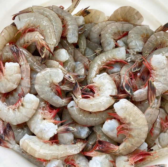 Jumbo White Shrimp - (Headless)