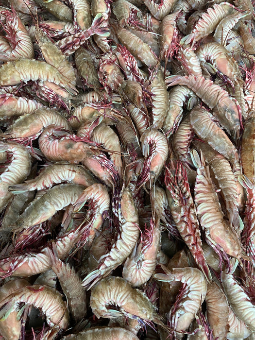 Florida Rock Shrimp - (3lb)